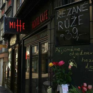 中文字幕日本性生活片免费看
